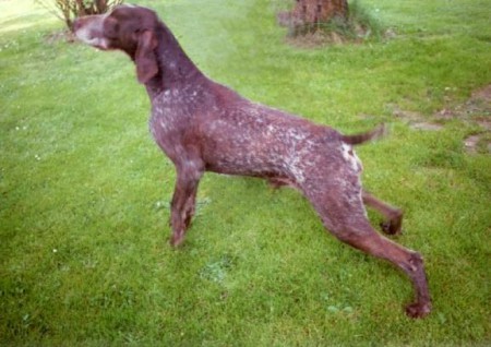 Ralf Afoli, vrh A Brita